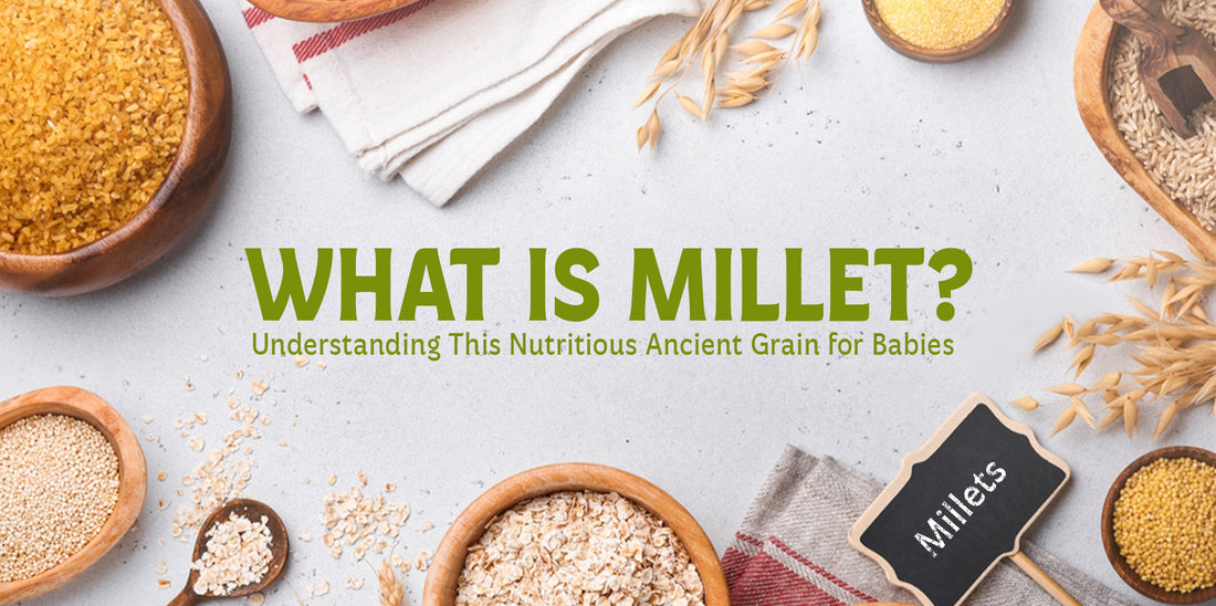 What Is Millet? Understanding This Nutritious Ancient Grain for Babies