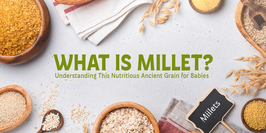 What Is Millet? Understanding This Nutritious Ancient Grain for Babies