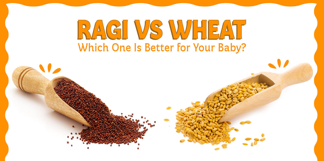 Ragi vs Wheat – Which One Is Better for Your Baby?