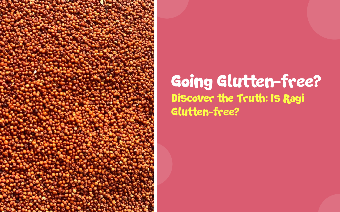 Going GlutenFree? Discover the Truth Is Ragi GlutenFree? BebeBurp