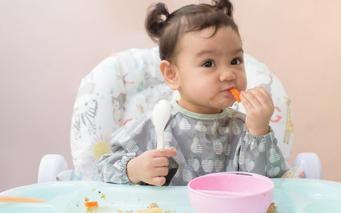How To Introduce New Food To Babies - BebeBurp