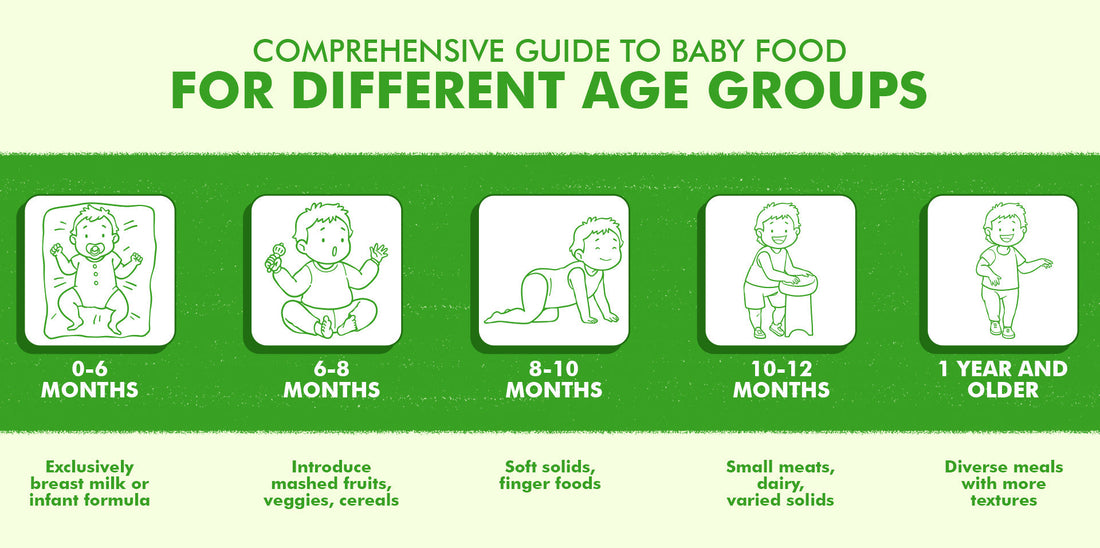 The Comprehensive Guide to Baby Food for Different Age Groups: Nourishing Your Child's Development