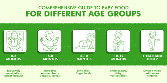 The Comprehensive Guide to Baby Food for Different Age Groups: Nourishing Your Child's Development