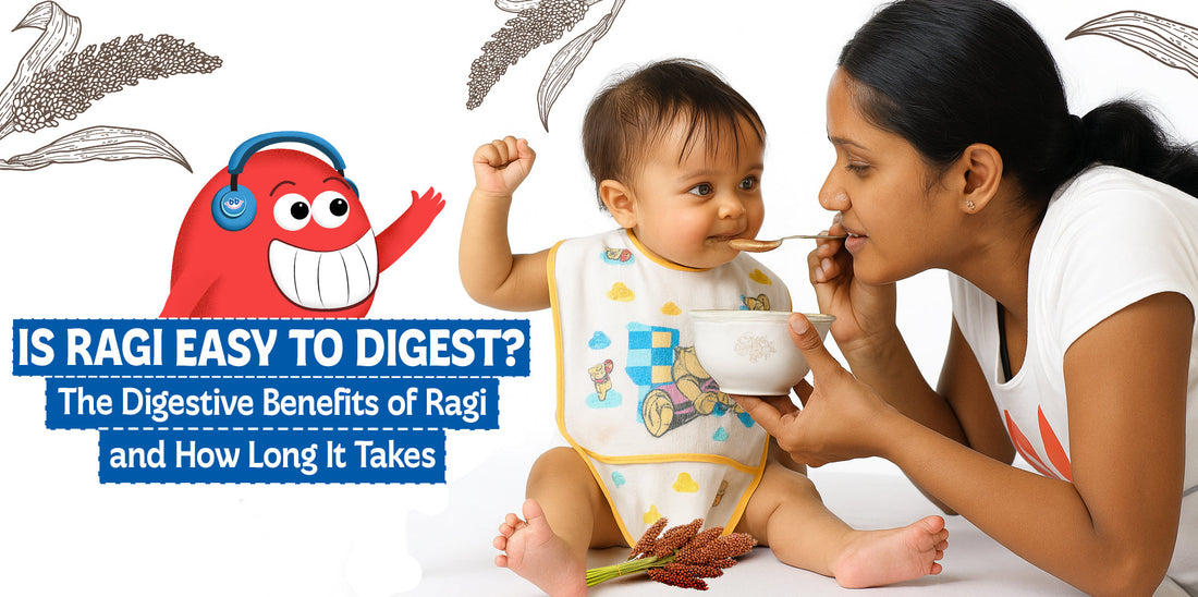 Is Ragi Easy to Digest? The Digestive Benefits of Ragi and How Long It Takes