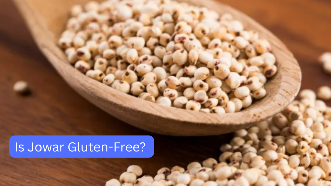 Is Jowar Gluten-Free? A Mom-Approved Guide by Bebe Burp