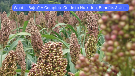 What Is Bajra? A Complete Guide to Nutrition, Benefits & Uses